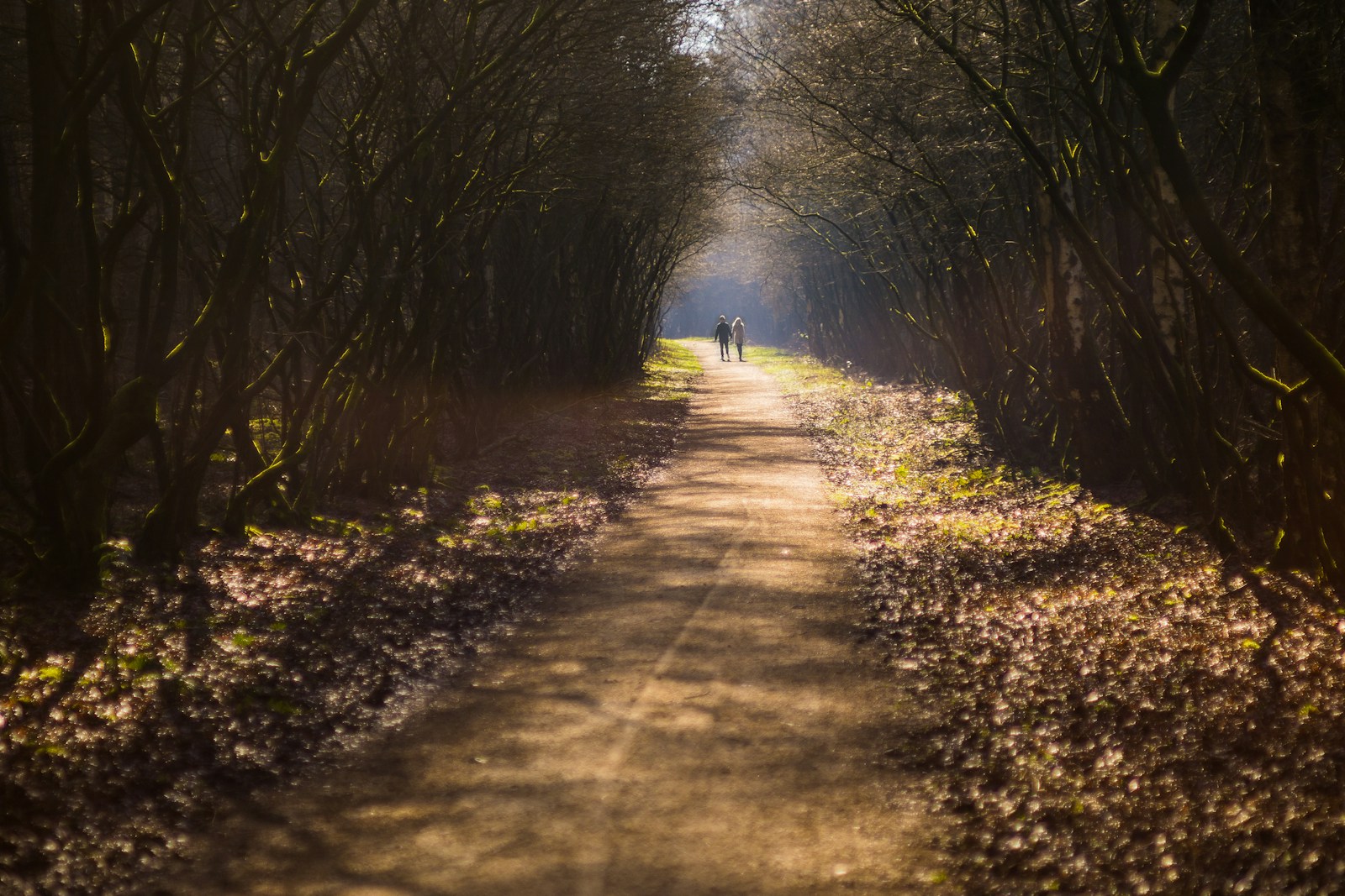 Self care such as walking in nature, shown here, is essential for caregivers who feel overwhelmed